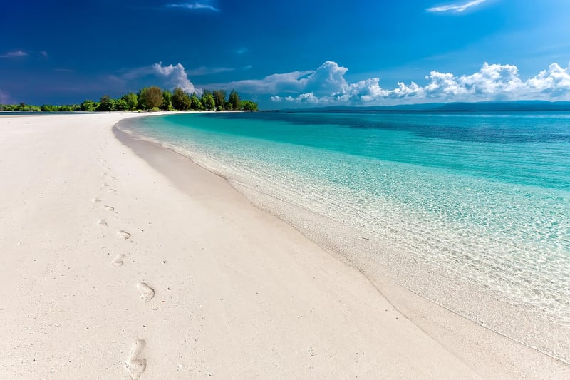 Beach Travel